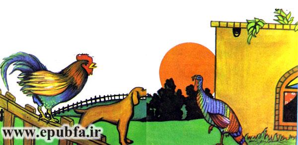 قصه کودکانه فلفلی و گلباقالی -داستان دو بوقلمون-عاقبت خودپسندی-ارشیو قصه ایپابفا